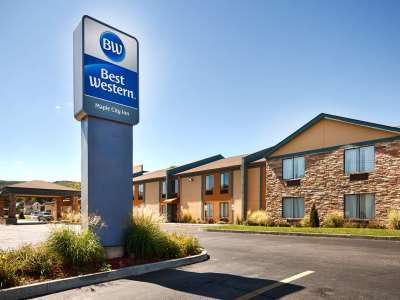 Hotel Western Maple 3*