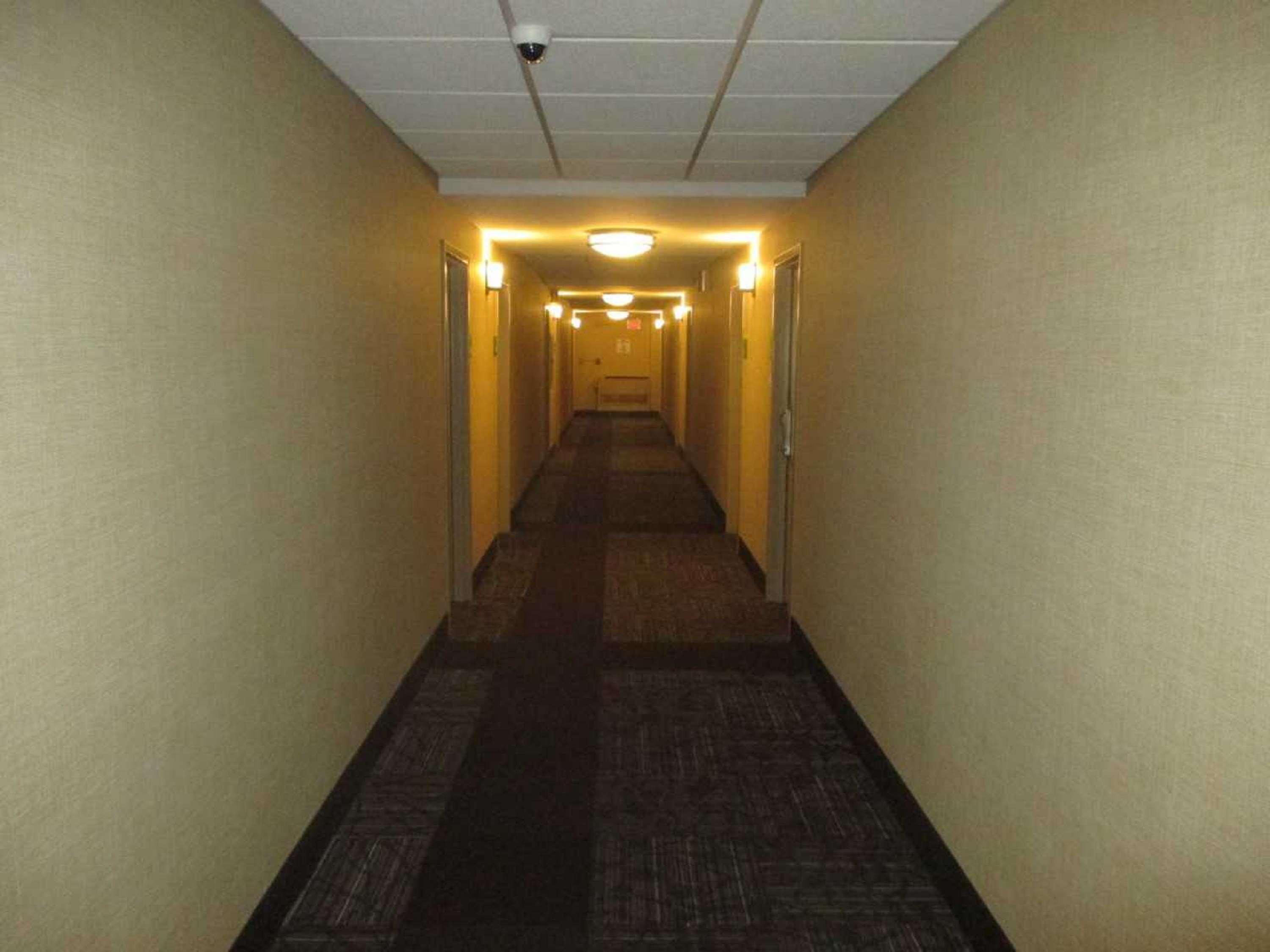 Hotel Western Maple 3*